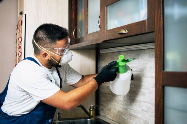 Best Pest Control Near Me  in Avon Park, FL