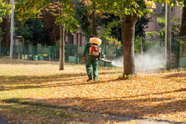 Best Commercial Pest Control Services  in Avon Park, FL