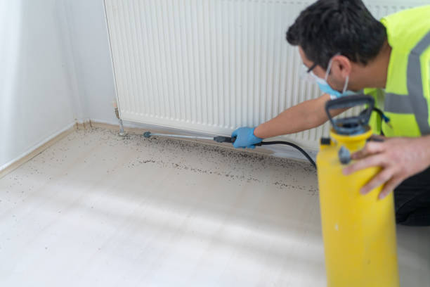 Best Emergency Pest Control  in Avon Park, FL